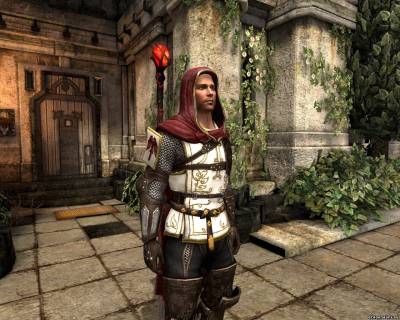 Орлесианская броня для Dragon Age 2, скриншот 2