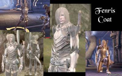 Доспехи из Da2 в Dragon Age: Origins, скриншот 1