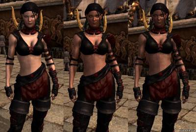 Ретекстура брони Исабеллы для Dragon Age 2, скриншот 3