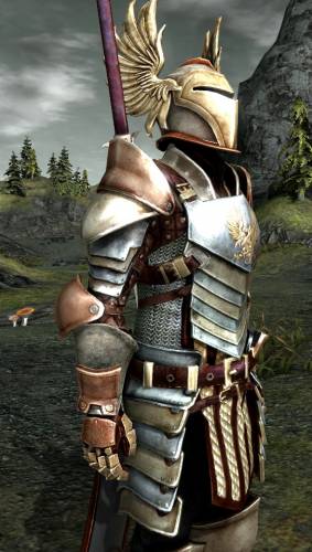 Ретекстура доспехов Серых стражей для Dragon Age 2, скриншот 2