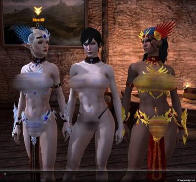 Новая секс броня "Голая правда" для Dragon Age 2, скриншот 1