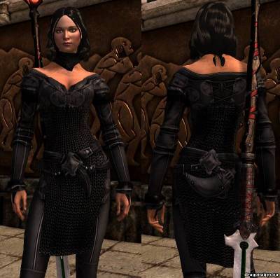 Ретекстура брони Бетани для Dragon Age 2, скриншот 1