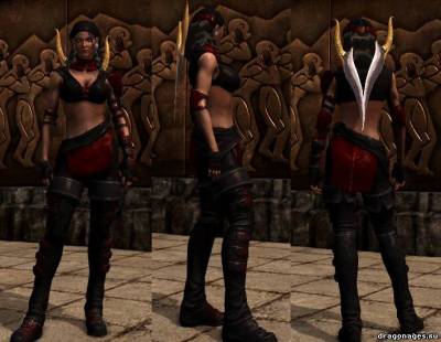 Ретекстура брони Исабеллы для Dragon Age 2, скриншот 2