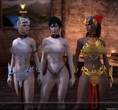 Новая секс броня "Голая правда" для Dragon Age 2, скриншот 3