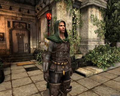 Орлесианская броня для Dragon Age 2, скриншот 1