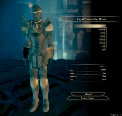 Доспех Wardens Burden для Dragon Age: Origins, скриншот 2