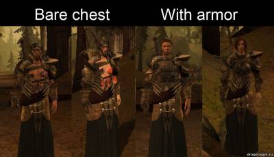 Призрачная броня для Dragon Age: Origins, скриншот 1