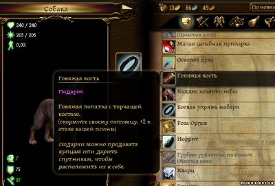 Подарки для Компаньенов в Dragon Age: Origins, скриншот 4