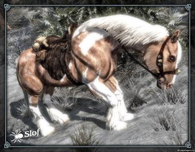 Теперь в Скайриме будут красивые лошади, скриншот 4