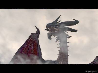 Dalls_Dragons, скриншот 2