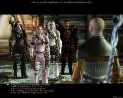 Красивые женские доспехи для Dragon Age: Origins, скриншот 3