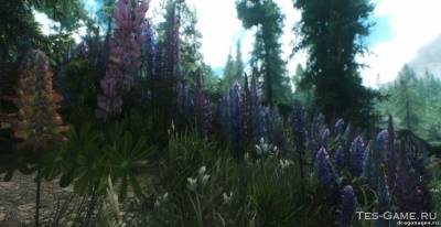 Vurts Skyrim Flora Overhaul, скриншот 2